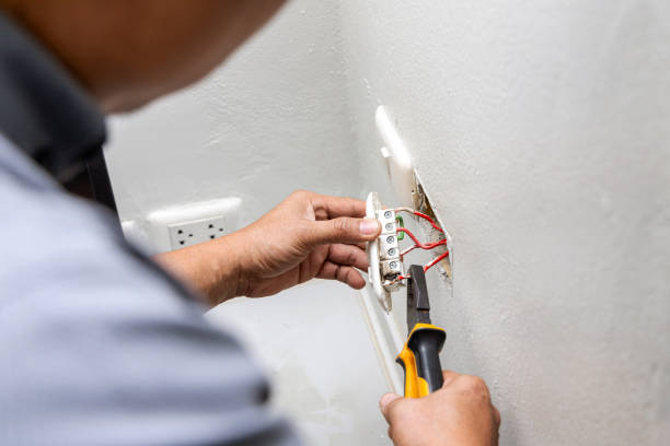 Best Licensed Electrician  in Farmland, IN